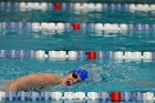 Women's Swimming & Diving  Wheaton College Women’s Swimming & Diving vs Mount Holyoke College. - Photo by Keith Nordstrom : Wheaton, Swimming & Diving